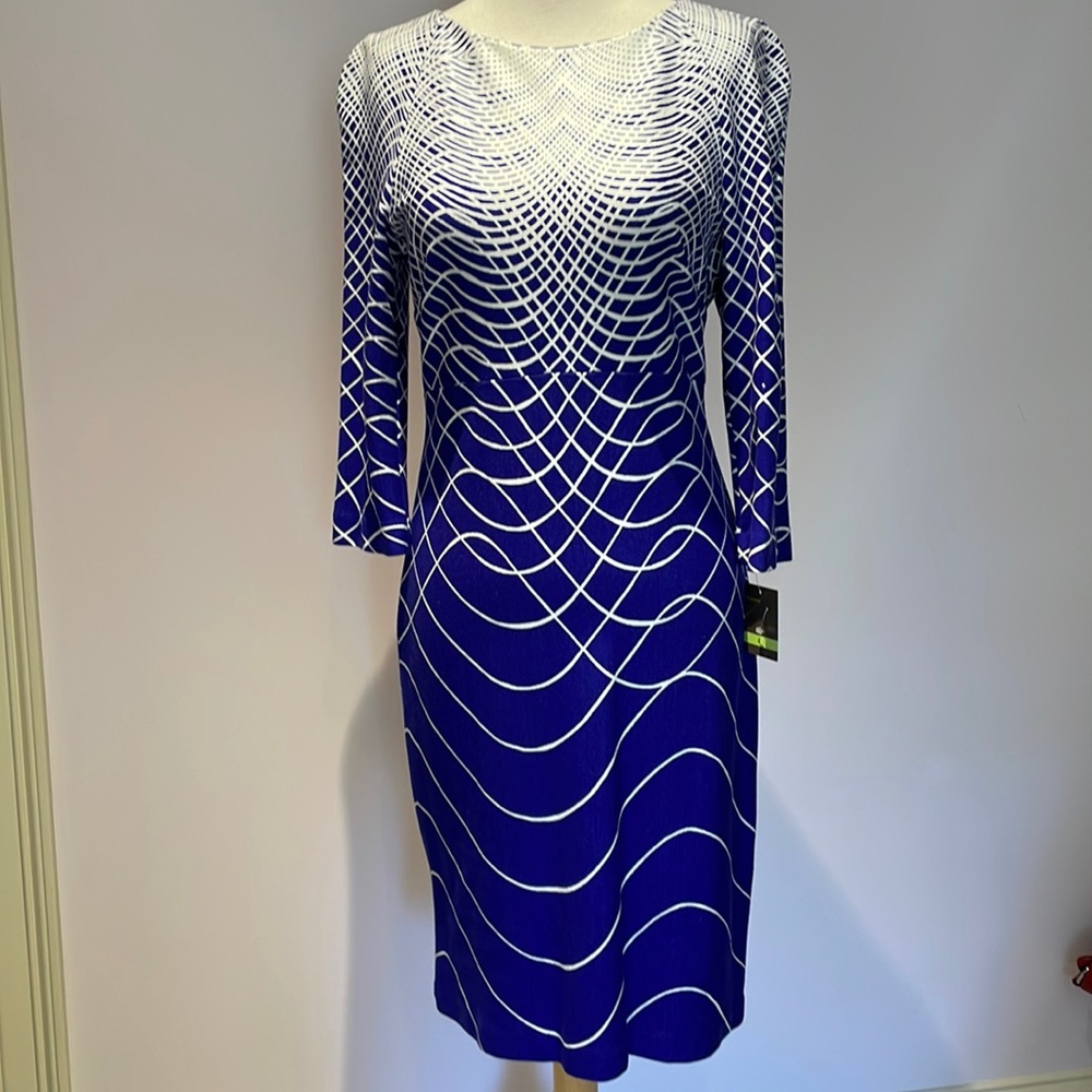 Taylor blue and white dress